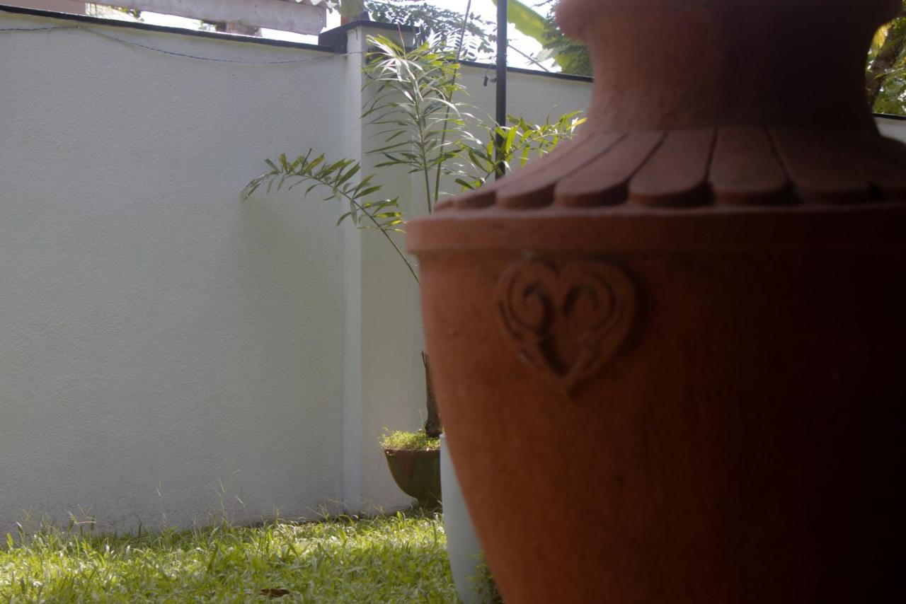 Jungle View Guesthouse Unawatuna Exterior photo